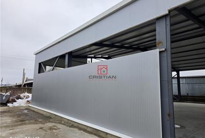 Depozit/hala/spatiu industrial Pantelimon - Comuna Pantelim - 12