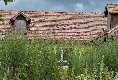 Casă cu 4 camere cu Teren 709 Mp în Central - 4