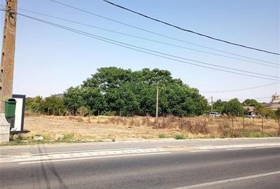 Vand teren intravilan comuna Corbu 1000mp - 2