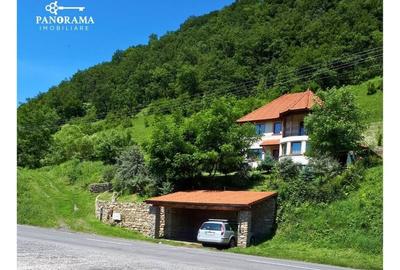 Refugiu elegant la marginea Sighisoarei - 3