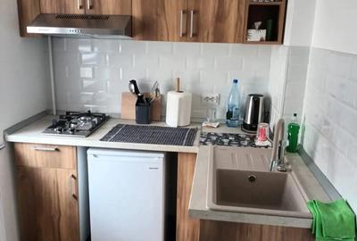 Garsoniera semidecomandata Rovine_Wiesana - 4