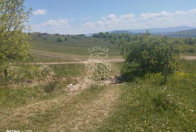 Teren agricol extravilan de 600 mp, în Sărata - 2