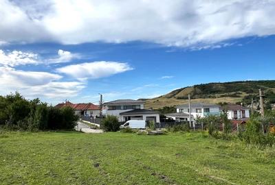 Teren Intravilan, 1055/ 527 Constructii, Centru Chinteni 21 Decembrie - 1