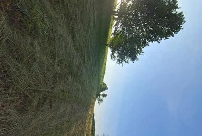Teren de 3380 mp, în Șoimuș - 9