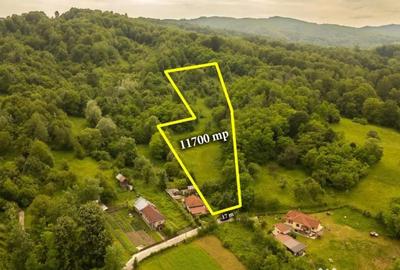 Teren de 11700 mp, în Valea - 1