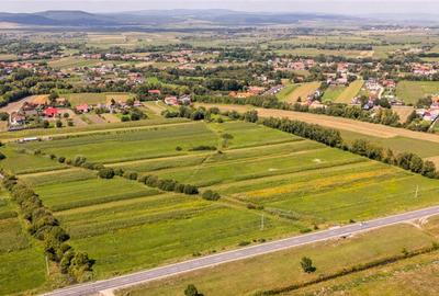 Teren extravilan Lunca Calnicului langa E574 - 9