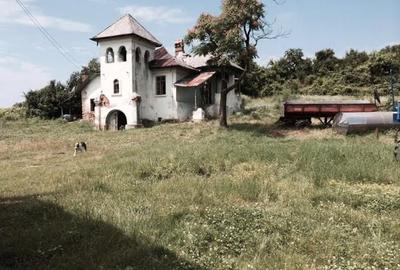 Proprietate specială, în Călinești - 2