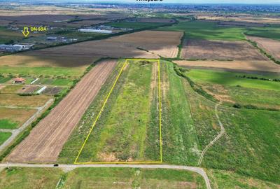 Teren Sacalaz 3,6 Ha - Pretabil PUZ Locuinte - 1