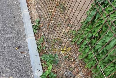 Teren de 239 mp, în Apărătorii Patriei - 10