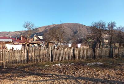 Casă cu 4 camere în Valea Doftanei - 3