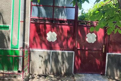 Casă cu 6 camere cu Teren 2880 Mp în Mișca - 4