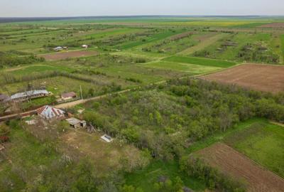 LETCA NOUA, TEREN CONSTRUCTII 1184 MP, FRONT 21 M ! - 2