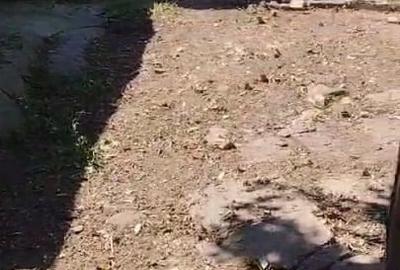 Teren si casa in zona buna - 3