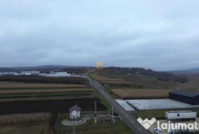 Teren de 14066 mp, în Mihoveni - 6
