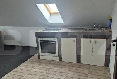 Apartament 4 camere, 230 mp, zona Careiului - 16