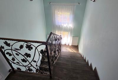 VILA LUX DE VANZARE -PANCIU-STRAOANE - 47