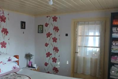 Casă cu 1 camere cu Teren 1270 Mp în Provița de Jos - 3