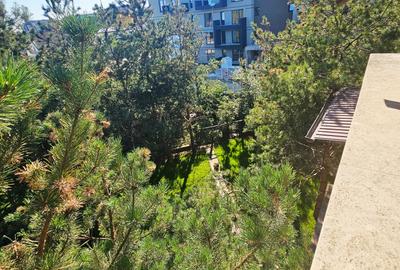 Duplex cu 9 camere cu Canalizare în Albert - 36