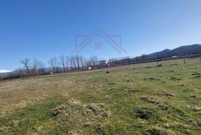 Spațiu comercial, în Central - 4