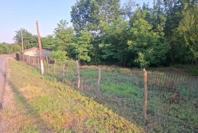 Teren 2900 m2, com. Salcuta, Jud. Dolj - 11