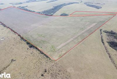 Teren de 268200 mp, în Ardud - 8