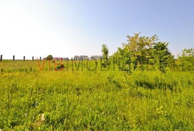 Teren intravilan situat in zona Padurea Baneasa - 3