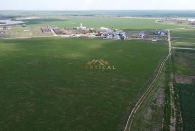 Ocazie, Teren 523 mp, rate, Berceni/ Vidra - 3