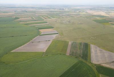 Teren de 400000 mp, în Zărand - 4