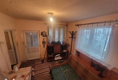 Casă cu 3 camere semidecomandat cu Teren 3197 Mp în Dumbrava - 13