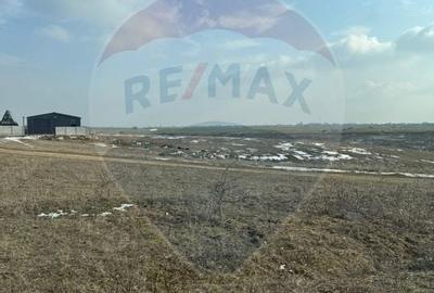 Teren Selgros Aleea 7 din str. Lamaitei 6354 mp intravilan