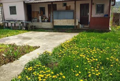 Casă cu 3 camere cu Teren 2370 Mp în Mihăești - 1