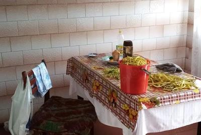 Casă cu 2 camere în Dragoslavele - 3