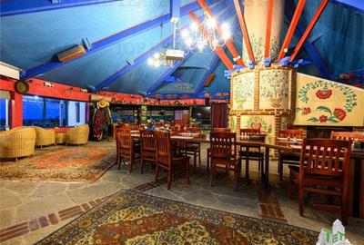 Hotel/Pensiune, de 1,200 mp, în Enisala - 11