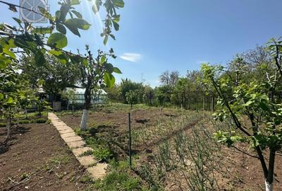 Casa -  Mogosoaia - Individuala - - 17