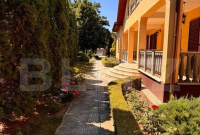 Vila de vanzare, cu 11 camere, 550 mp, zona Bariera Valcii - 4