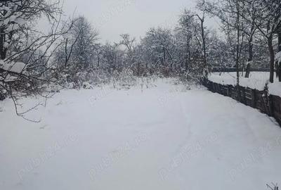 Casă cu 3 camere în Giulești - 2