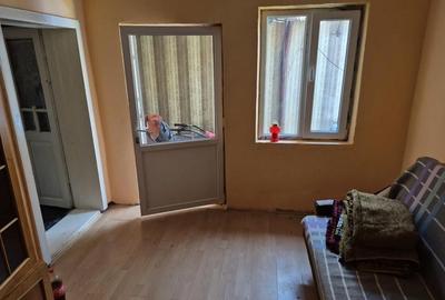 Casă cu 4 camere cu Teren 1163 Mp în Iablanița - 2