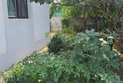 Vila tip dupex-gata de mutare/Com.Berceni - 4