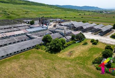 Teren 100.000 mp + Spatii Industriale Bacau - 9