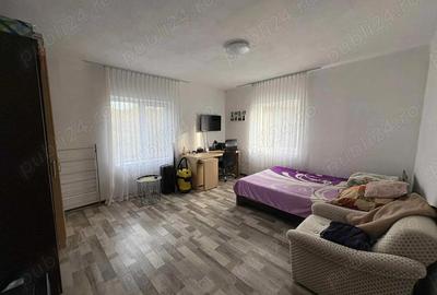 Casa de vinzare gradina ?i un hectar de teren 2 camere baie, coridor beci, bucatarie anexe,exe,, - 3