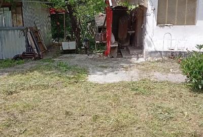 Casă cu Teren 5741 Mp în Lunca Mureșului - 4