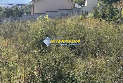 Teren intravilan I de vanzare I in Cetate I zona superba I 500 mp I - 2