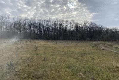 Teren de 950 mp, în Central - 6