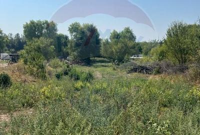 Teren de vanzare / 2,500 mp pe Malul Lacului Tancabesti /Ilfov - 2