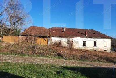 Casă cu Teren 10000 Mp în Central - 4