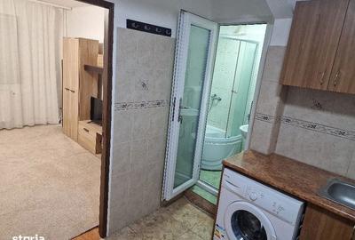 Garsonieră în Buziașului