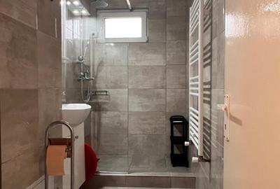 Inchiriere apartament o camera zona Dambovita - 4