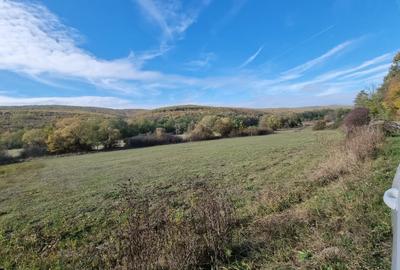 Spațiu comercial, în Cladova - 15