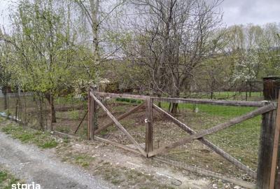 Teren de 803 mp, în Ciurila - 3