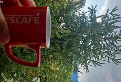Apartament cu 2 camere semidecomandat în Tipografilor - 4